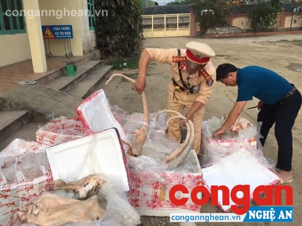 Cán bộ Trạm CSGT Diễn Châu kiểm tra tang vật vi phạm