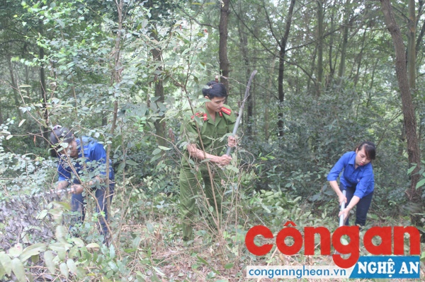 ĐVTN tích cực phát quang đường băng cản lửa