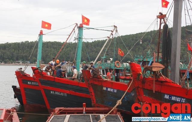 Đối với vùng ven biển, công nghiệp đóng tàu và sửa chữa tàu thuyền  sẽ là một trong những định hướng phát triển chính