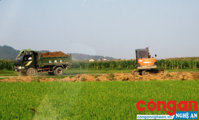Việc khai thác đất diễn ra giữa ban ngày  nhưng chính quyền địa phương không biết