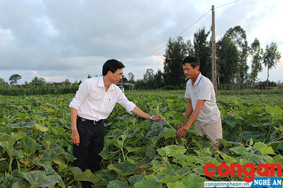 Nhiều mặt hàng nông sản đã giữ sự ổn định về giá cả, thị trường