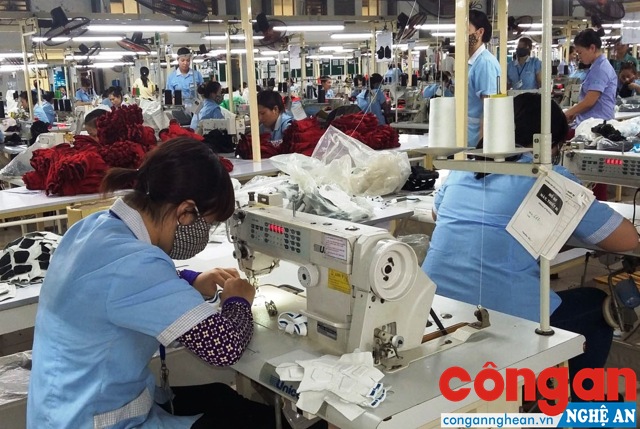 Các doanh nghiệp, đơn vị sử dụng lao động cần thực hiện nghiêm các quy định pháp luật liên quan đến bảo hiểm cho người lao động để phục vụ sự phát triển bền vững