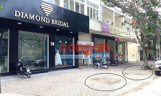 Vị trí 2 cây hoàng linh trước hiệu áo cưới Diamond Bridal (ảnh chụp ngày 5/5/2018)