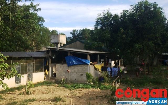 Trang trại nuôi lợn bị người dân “tố” gây ô nhiễm