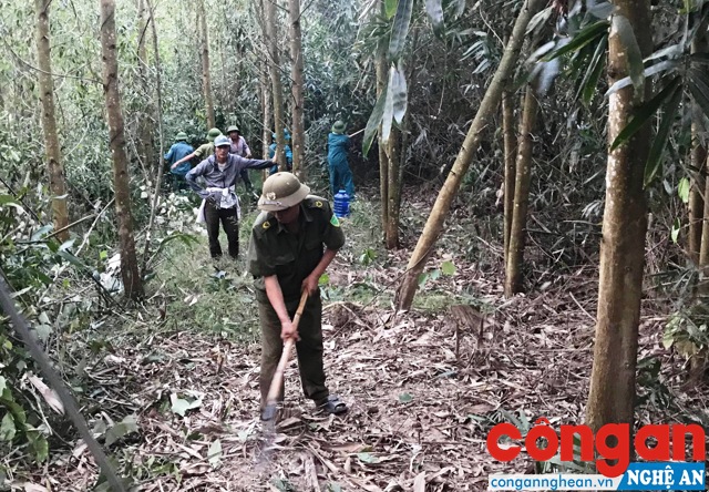 Các lực lượng tổ chức làm đường băng cản lửa