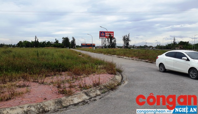 Khu tái định cư xóm 10, xã Nghi Liên đang bỏ hoang, cỏ mọc um tùm