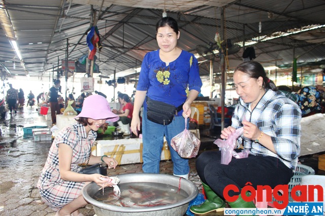 Hải sản Nghệ An cũng là một thế mạnh cần được phát huy