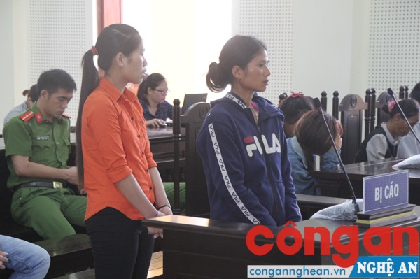  Hai bị cáo tại tòa
