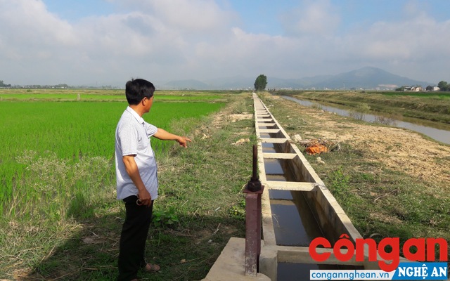 Lòng kênh N6 trước kia rộng 3 - 4 m, nay bị “bóp” lại chỉ còn 1,2 m,  có nơi chỉ 70 cm