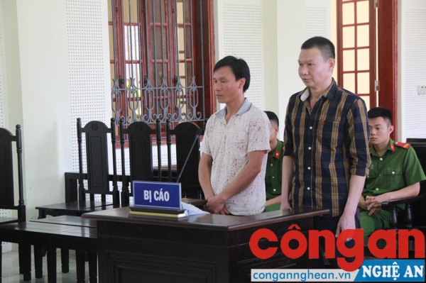  Hai bị cáo tại tòa