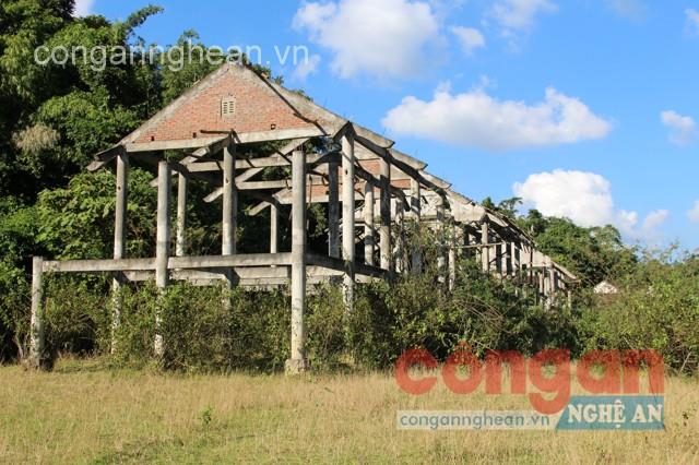 Hàng loạt khung nhà sàn phơi nắng, phơi sương hàng chục năm trời  tại khu tái định cư cho người Đan Lai, xã Thạch Ngàn, huyện Con Cuông