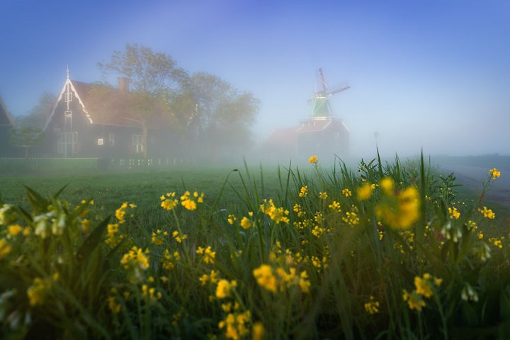 Zaanse Schans là một địa điểm du lịch nổi tiếng. Chỉ vào lúc trước khi mặt trời mọc, bạn mới có thể nhìn thấy những đám mây đổi sang màu tím như thế này.