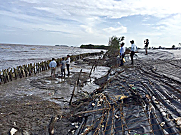 Đê biển Tây của tỉnh Cà Mau, nơi sẽ được xây dựng kè bê tông cốt phi kim phá sóng, gây bồi tạo bãi, công nghệ của Busadco để bảo vệ bờ biển. Ảnh: HOÀI THU