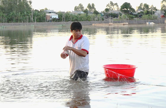 Gần chục ngày nay, anh Nguyễn Văn Ngẫm ra đồng giăng lưới bắt cá.
