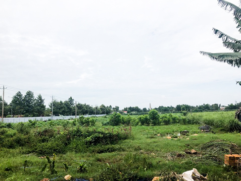 Khu đất Dự án khu dân cư Tuấn Hùng (phường Phước Hưng – TP. Bà Rịa) hiện vẫn là bãi đất để hoang. 