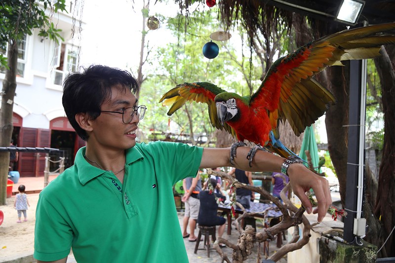 Giống vẹt Harlequin Macaw có nguồn gốc Nam Mỹ với giá khoảng 5.000 USD là chú vẹt đắt nhất ở quán.