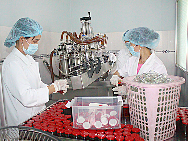 Công nhân cơ sở mật ong Anh Tiến (thị trấn Ngãi Giao, huyện Châu Đức) làm việc trong xưởng sản xuất. 