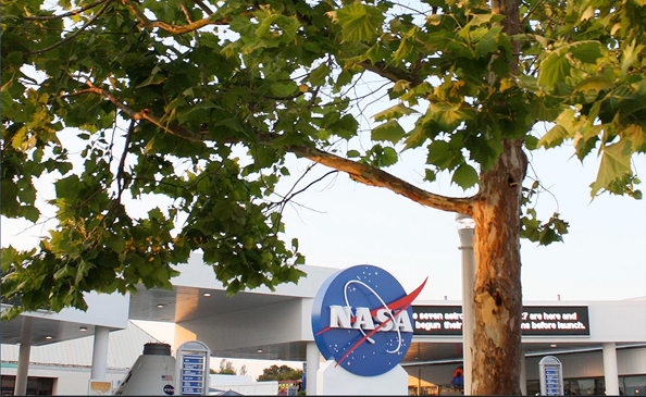 Một “cây Mặt trăng” được trồng bên ngoài trụ sở NASA.