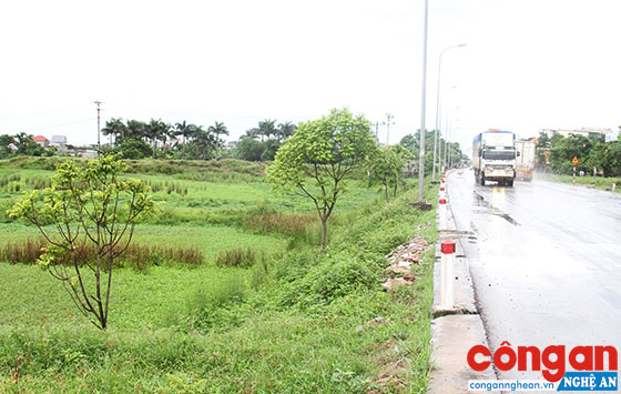 Phần diện tích đất dự án của Công ty TNHH Hiến Thành và Nhơn Huế chưa triển khai được vì vướng thỏa thuận đền bù với người dân