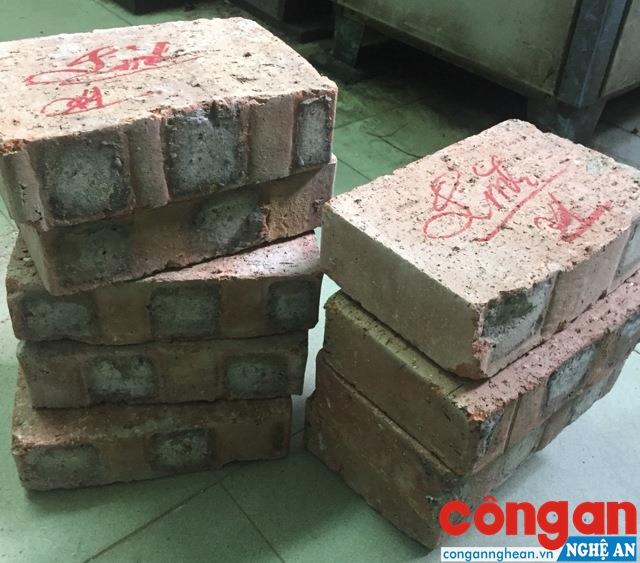 Mẫu gạch thí nghiệm (Ảnh do anh Trần Xuân Lĩnh cung cấp)