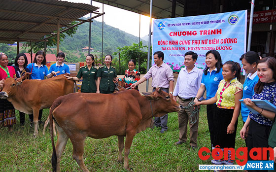 Trao bò giống cho các hội viên phụ nữ có hoàn cảnh khó khăn