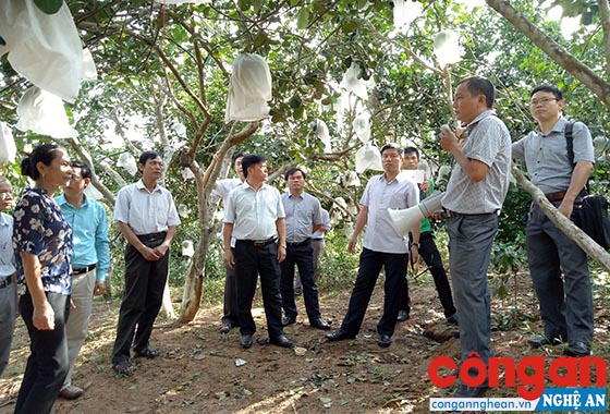 Được sự quan tâm của các cấp, ngành và doanh nghiệp, hoạt động khoa học và công nghệ cấp huyện ngày càng khởi sắc