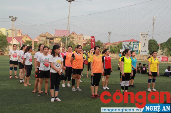 Các đội bóng tham gia giải năm nay