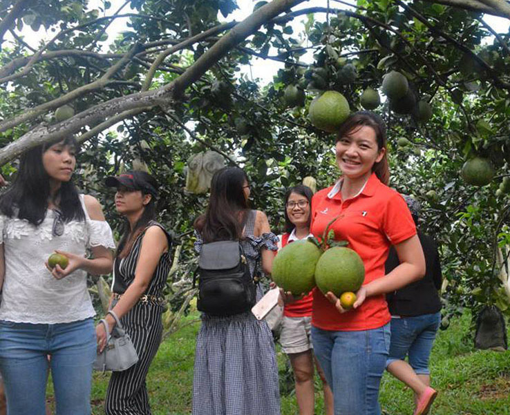 Du khách tham quan, mua sắm tại một vườn trái cây huyện Xuyên Mộc.