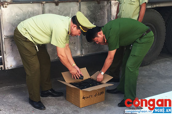 Cán bộ Chi cục Quản lý thị trường và Phòng Cảnh sát PCTP về Môi trường kiểm tra số pin trên xe ôtô tải