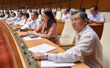 Các đại biểu bấm nút thông qua