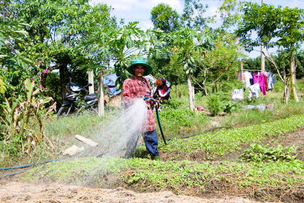 Nhờ được hỗ trợ cây giống, phân bón để phát triển mô hình trồng rau ăn lá, cuối năm 2017, gia đình ông Nguyễn Văn Dân, thôn Tân Ro, xã Châu Pha (TX. Phú Mỹ) đã thoát nghèo bền vững.