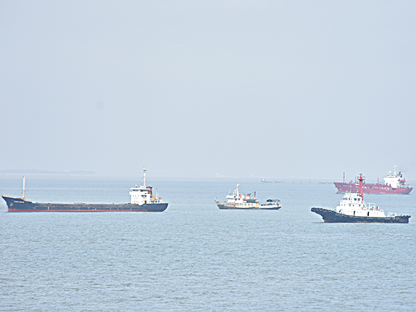 Các tàu hàng đang neo đậu tại vùng neo Bãi Trước, Sao Mai, vịnh Gành Rái phải rời vị trí đến nơi trú bão an toàn. Trong ảnh: Tàu neo đậu tại khu vực Sao Mai sáng ngày 23-11. Ảnh: THÀNH HUY