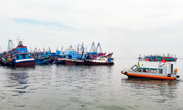 Tàu cá neo đậu tại khu vực Sao Mai - Bến Đình (TP. Vũng Tàu).