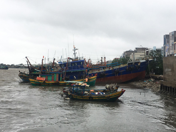 Tàu cá neo đậu tại cảng Phước Tỉnh. Ảnh: THÀNH HUY