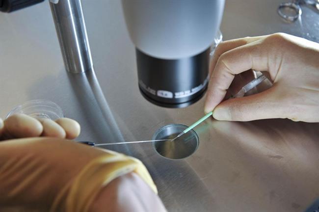 Hai bé gái sinh đôi vừa ra đời, với DNA được chỉnh sửa bằng công nghệ CRISPR đột phá
