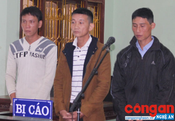 Các bị cáo tại phiên tòa