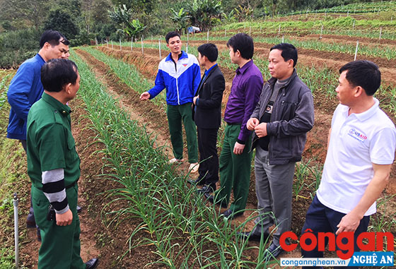 Các mô hình kinh tế của thanh niên góp phần quan trọng thúc đẩy sự phát triển kinh tế các địa phương