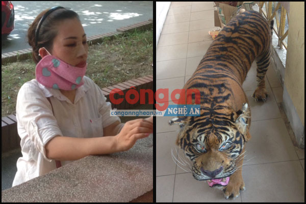 Đối tượng tàng trữ cá thể da hổ và tang vật bị lực lượng Cảnh sát Cơ động bắt giữ 