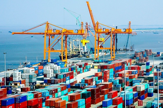 Việc cắt giảm các thủ tục kiểm tra chuyên ngành mang lại hiệu quả tích cực cho hoạt động xuất nhập khẩu.