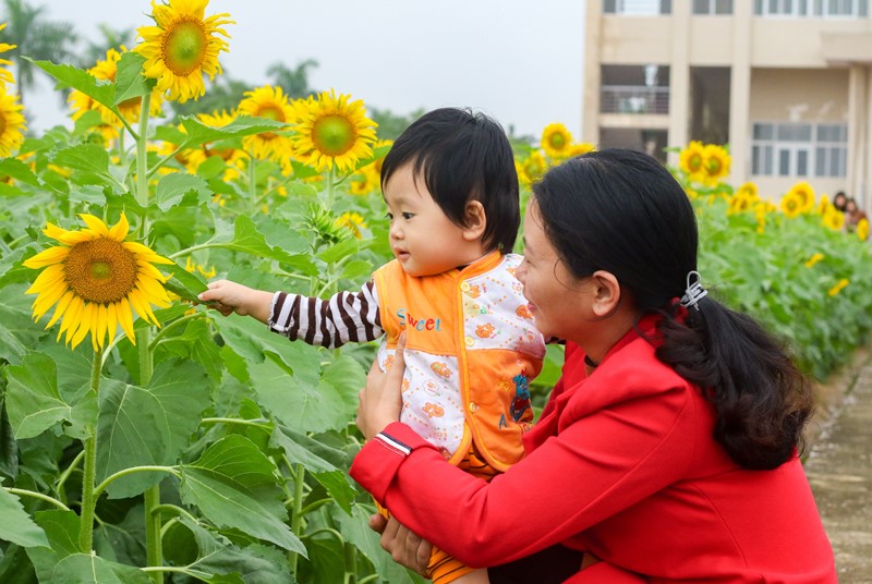 ... Kể cả những em bé, bất chấp ngày cuối tuần giá rét, vẫn hồ hởi theo mẹ đến ngắm hoa.