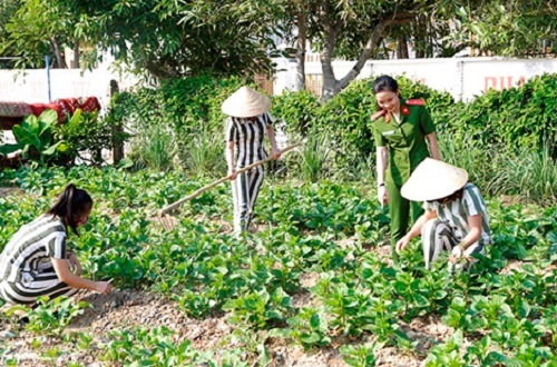 Thiếu úy Nguyễn Thị Nhung luôn quan tâm, gần gũi các phạm nhân.