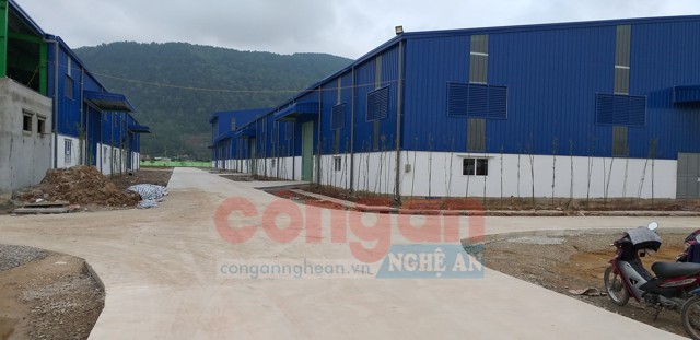 Nhà máy sản xuất bao bì xuất khẩu ECO  được đầu tư với số tiền hơn 150 tỉ đồng 