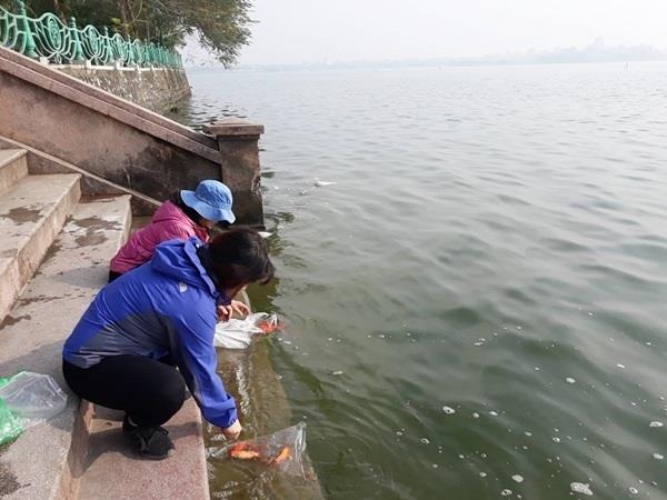 Người dân thả cá chép cầu mong những điều tốt lành cho bản thân và gia đình. Ảnh: Thiện Tâm