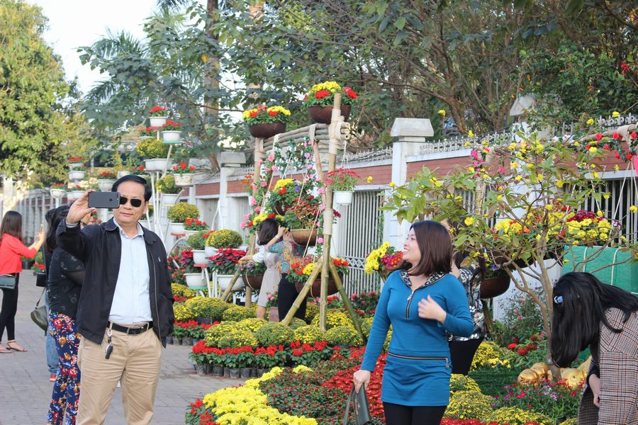 Ngắm những bông hoa khoe sắc, ai cũng có thể mỉm cười