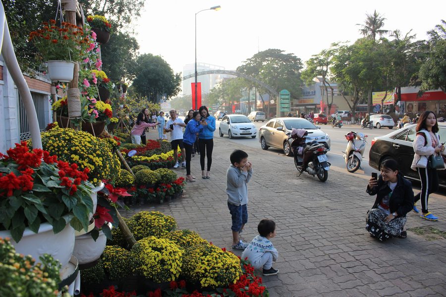Điểm trang hoàng hoa trên đường Hồ Tùng Mậu