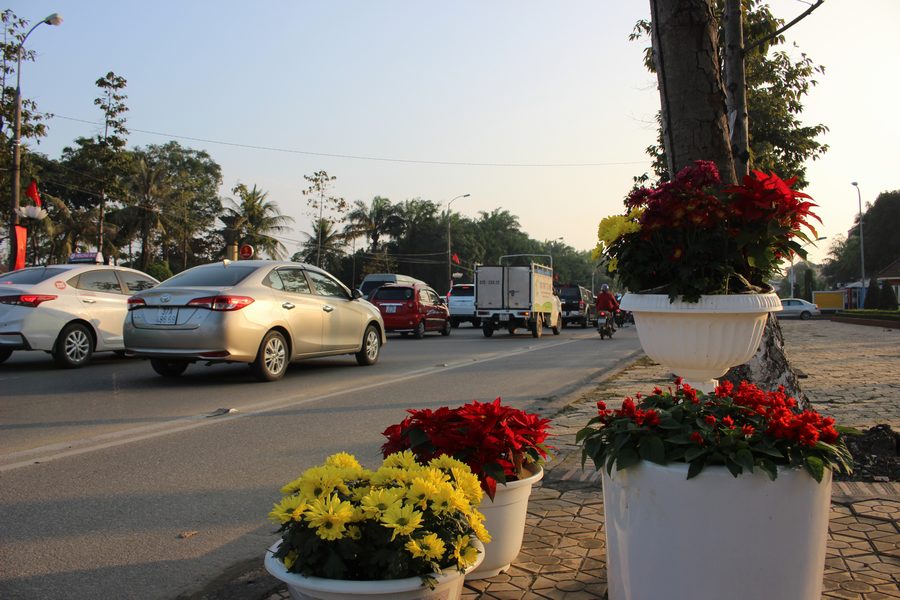 Khoe sắc dưới nắng đông