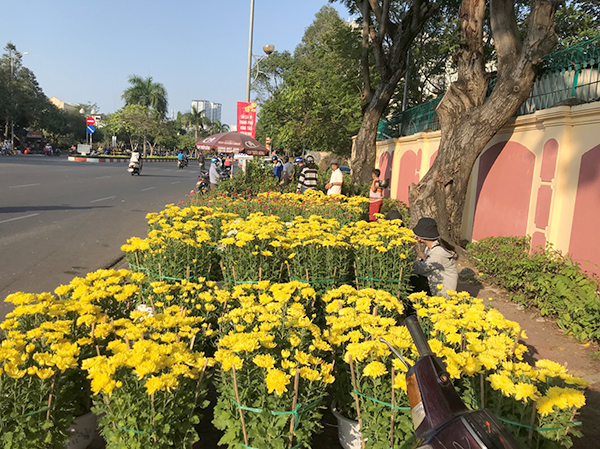 Đến sáng 30 Tết, nhiều điểm bán hoa cúc trên các tuyến đường Nguyễn Thái Học, Nguyễn Hữu Cảnh, Nam Kỳ Khởi Nghĩa… vẫn còn nhiều hoa.  