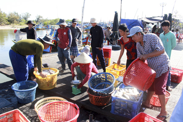Thương lái thu mua cá tại cảng Bến Lội- Bình Châu.