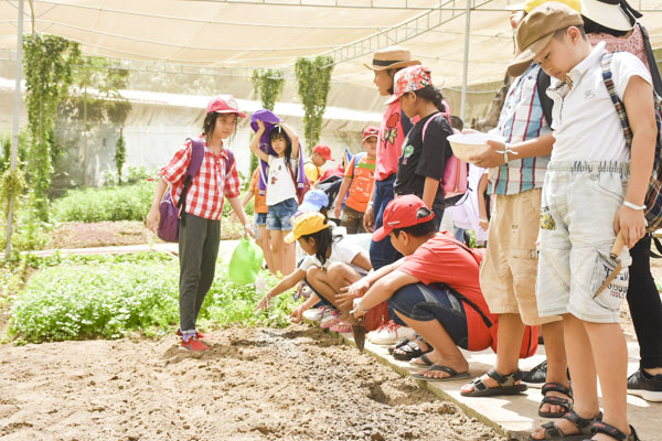 HS được trải nghiệm trồng rau trong chương trình Hồ Mây Fun Farm.