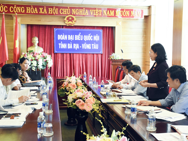 Đồng chí Nguyễn Thị Yến, Phó Bí thư Thường trực Tỉnh ủy, Trưởng Đoàn ĐBQH tỉnh phát biểu tại buổi làm việc.